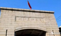 河北美院爆料视频大全,揭秘校园生活与艺术风采